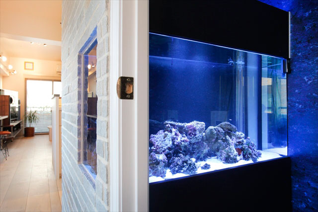 深海のようなトイレ内に作り付けられたアクアリウムは、廊下側からも楽しめます。